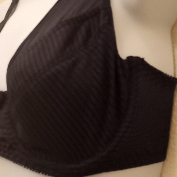 Curve Muse Satin & Mesh Striped Bra - Picture 2 of 16